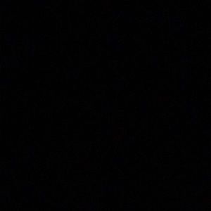 Meet your Posher, Delaney